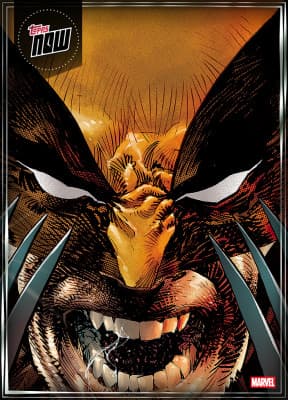 Marvel Collect! collectible 17