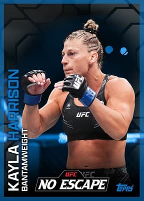 UFC Collect collectible 2