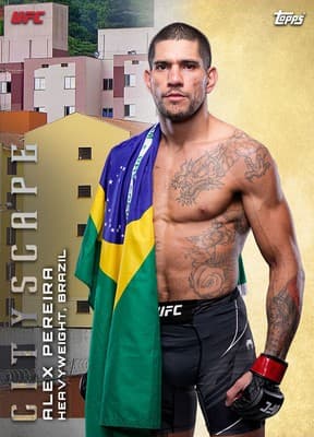 UFC Collect collectible 3