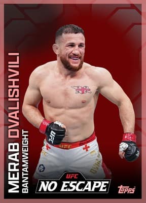 UFC Collect collectible 6
